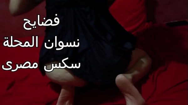 مصرية شرموطة طيزها ضخمة عايزة تتناك بقوة