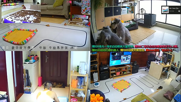 Cewek China Live Lagi, Bikin Sange Berat!